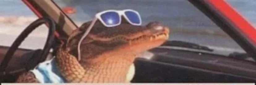 Watch_Crypto's profile banner image