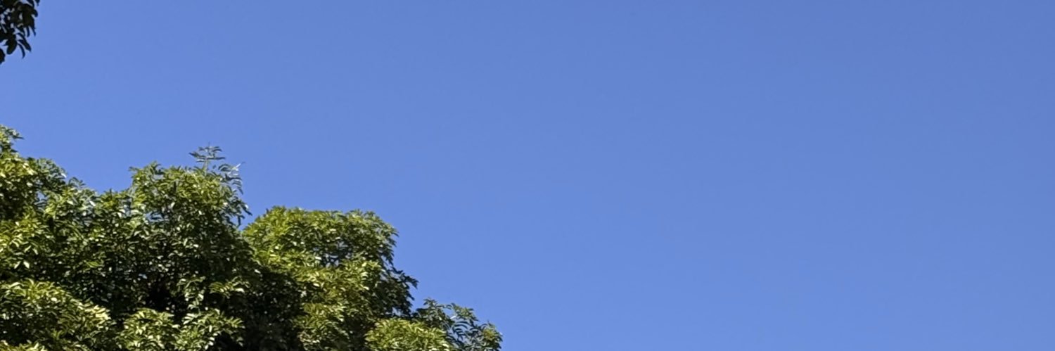 gferrari4's profile banner image