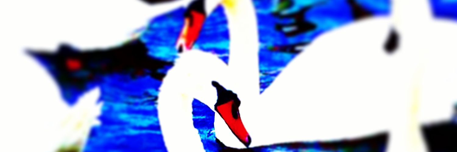 7th_timearound's profile banner image