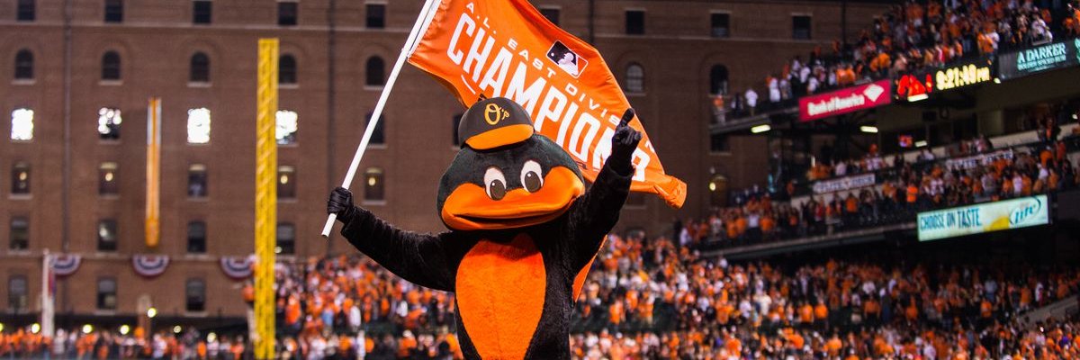 timbyer's profile banner image
