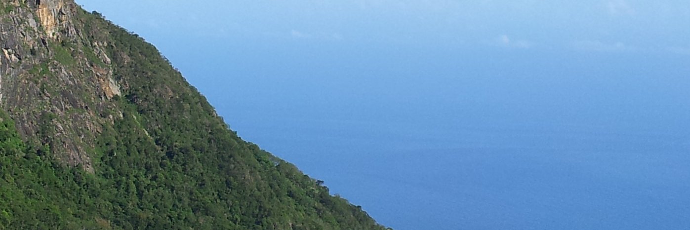 AlteaMagna's profile banner image