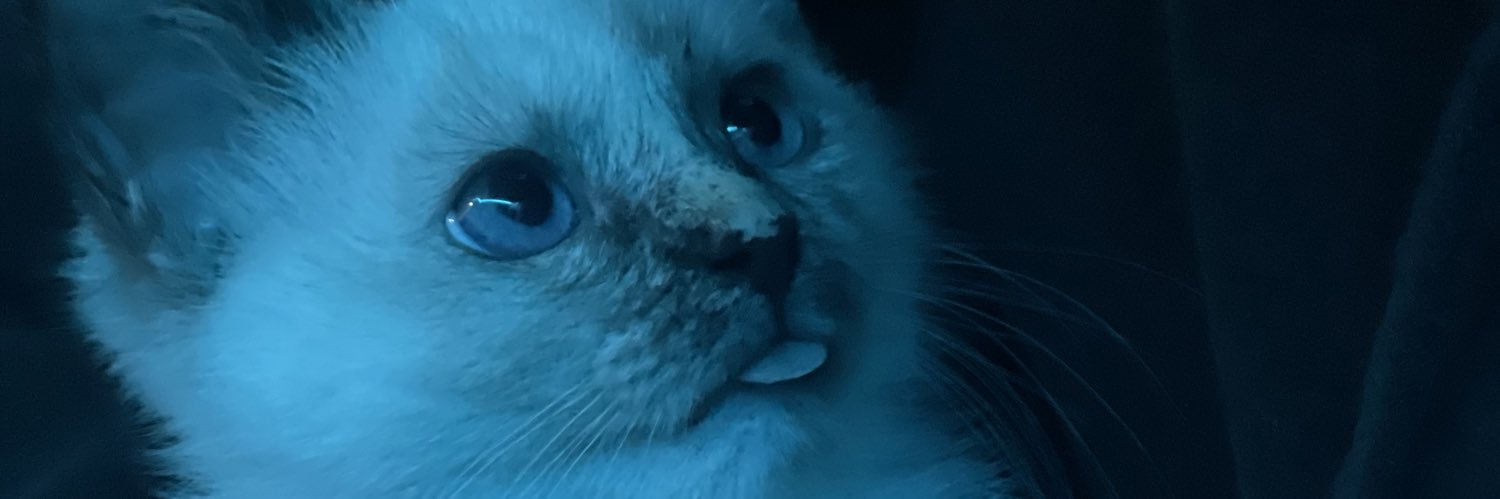 CalypsoPNW's profile banner image