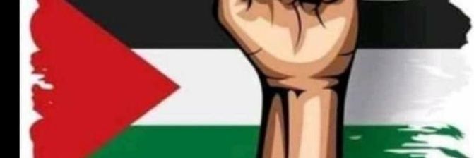 Druida☭ 🇵🇸🇨🇺 banner