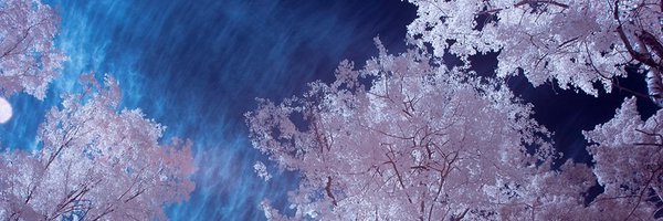 breakingcraft_ Profile Banner