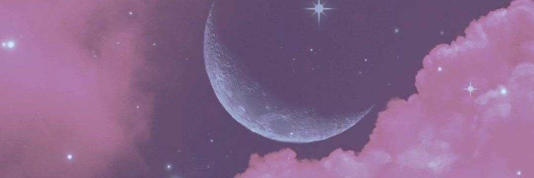 Fighter 🌹 banner