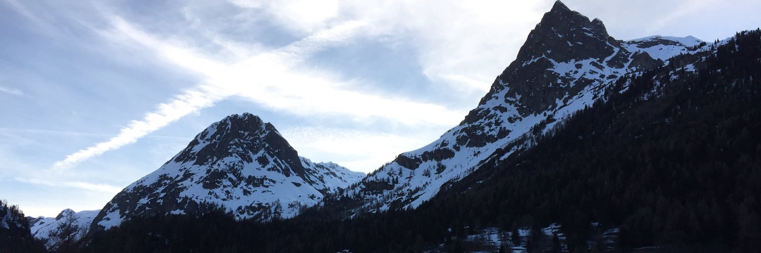 Kaylie L.N Lam banner