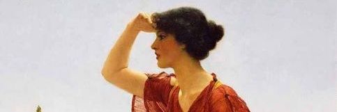 Domicialucida's profile banner image