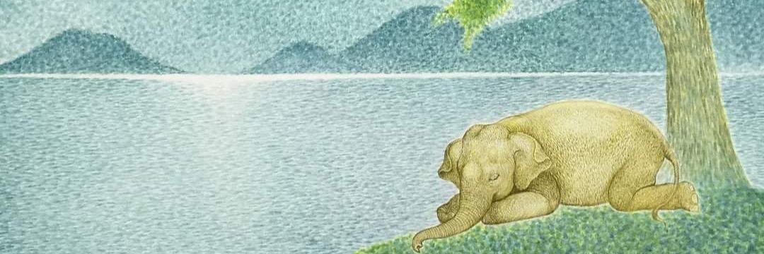 Monovsky 😂 #RedAmlove #Obradorista # banner