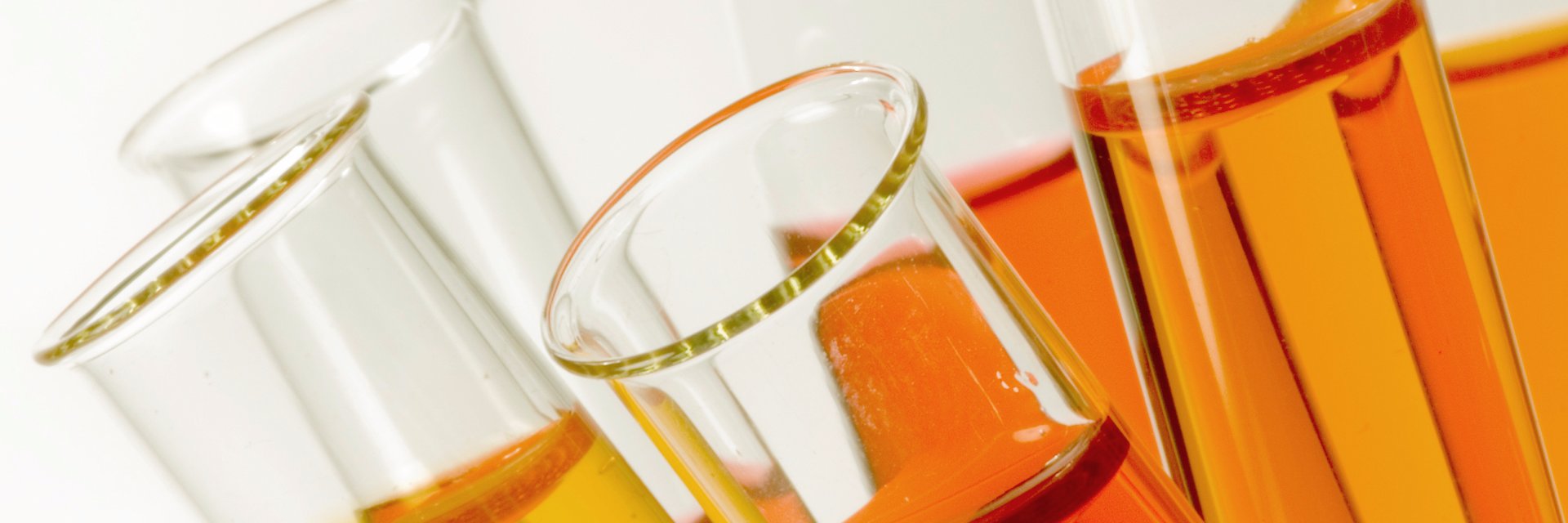 Randall Division banner