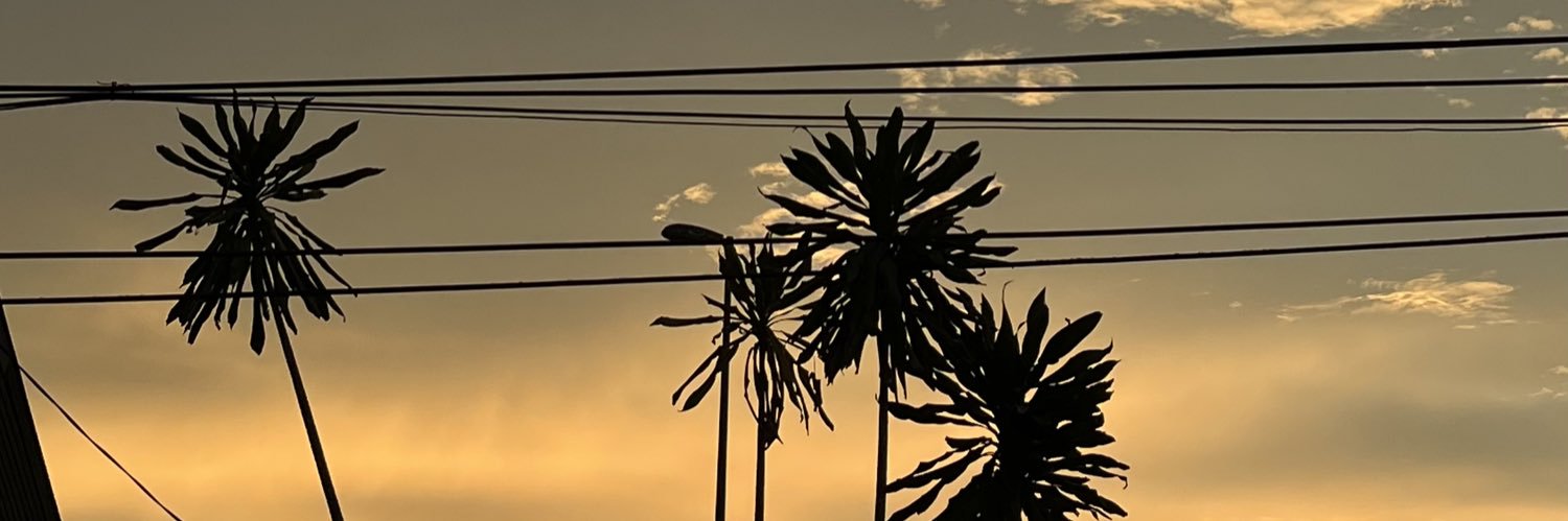 hidayahfaeree's profile banner image