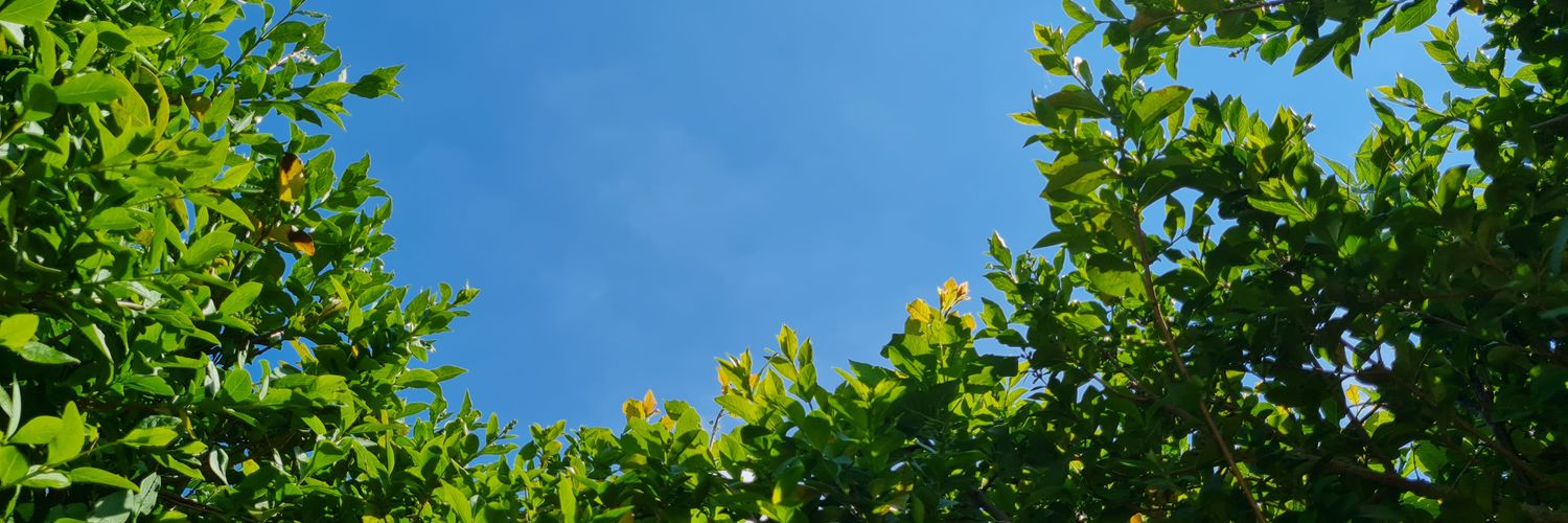 chlotink's profile banner image