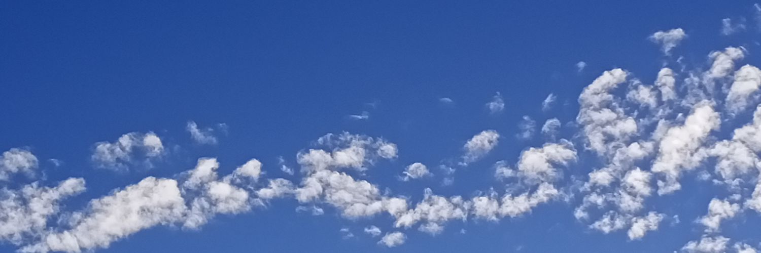 🅞🅜🅐🅡 🅑🅔🅝🅐🅡🅕🅐 banner