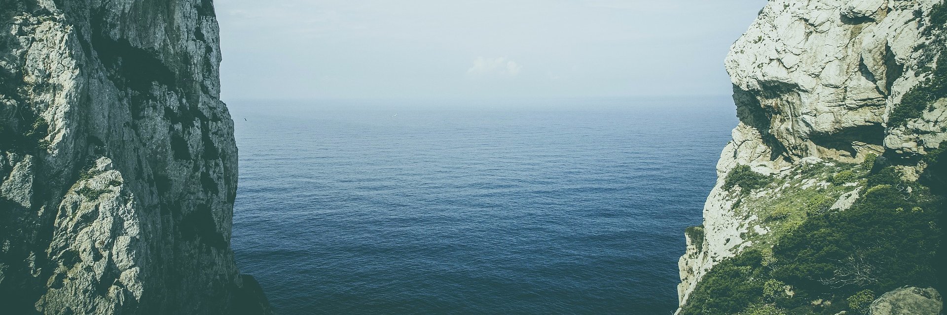 Mathilde Méchin banner