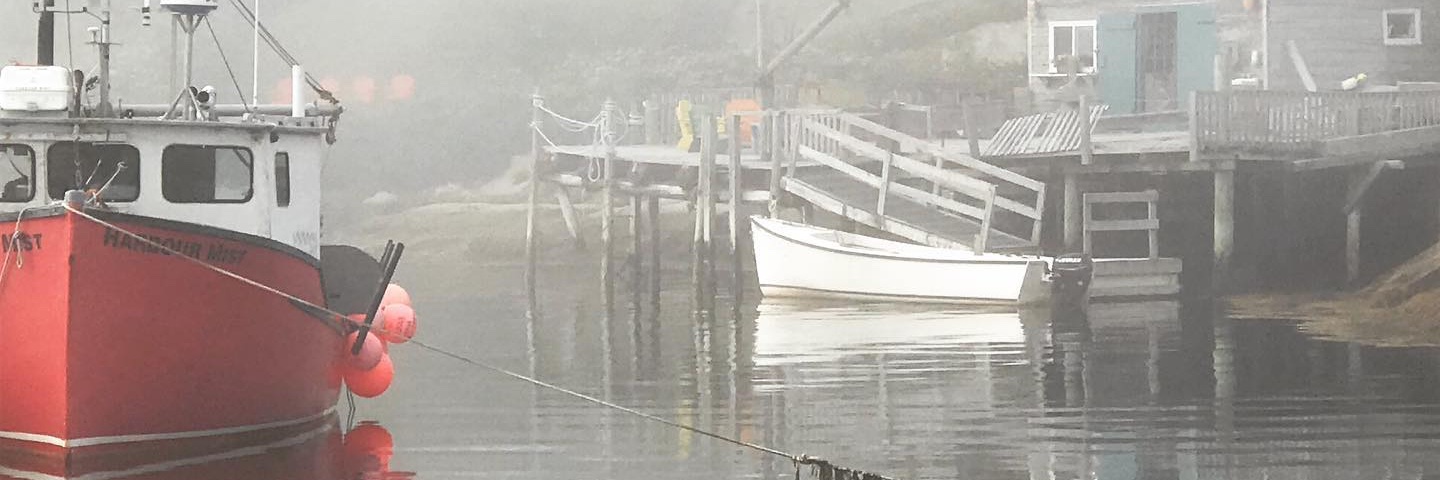 Samantha Fritz banner