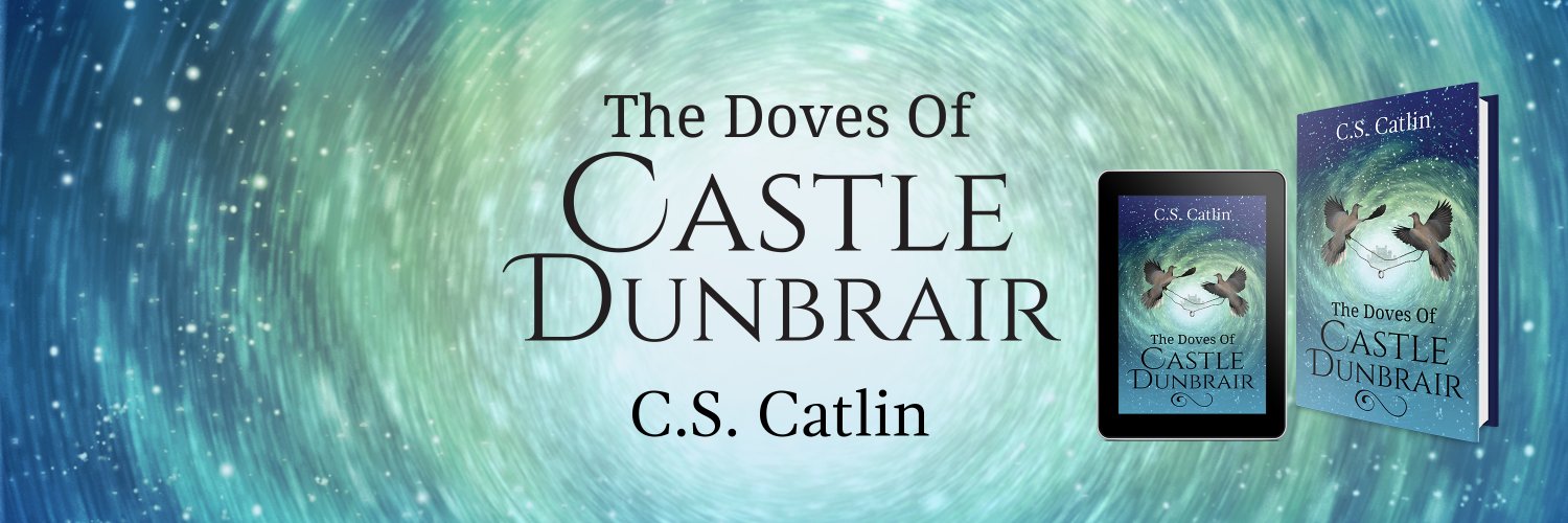 cscatlin's profile banner image