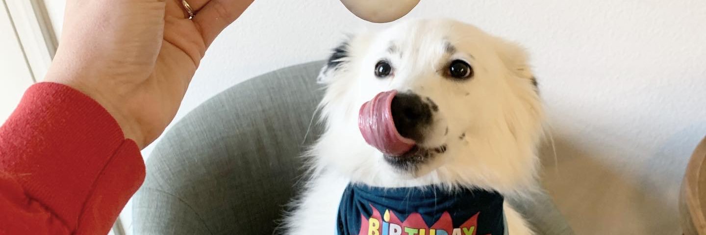 deeegene's profile banner image
