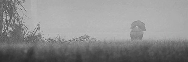 rolo65's profile banner image