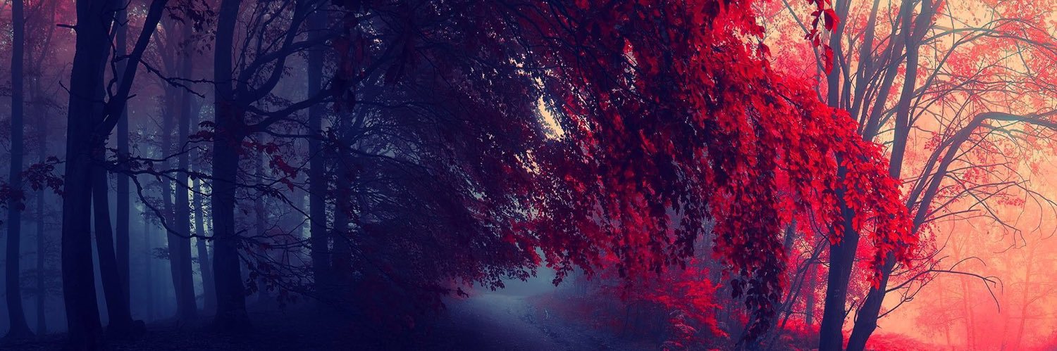 MarceDiez's profile banner image