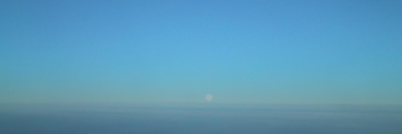 Terrill Moore banner