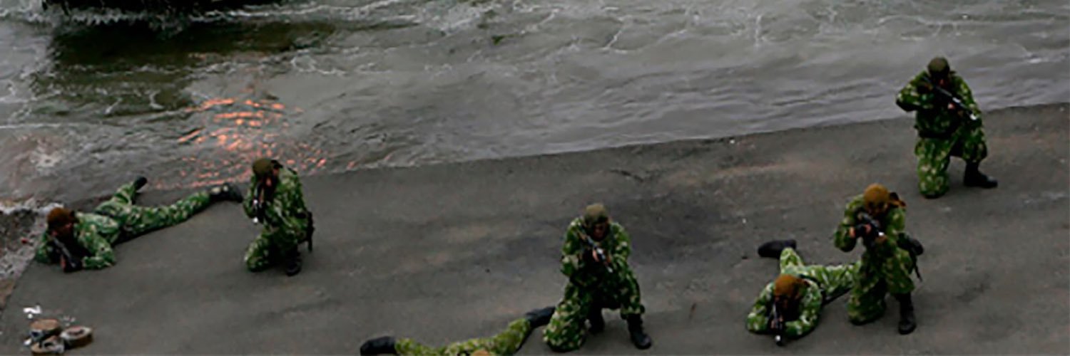 第315独立親衛海軍歩兵旅団 banner