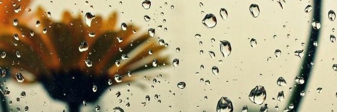 monicori's profile banner image
