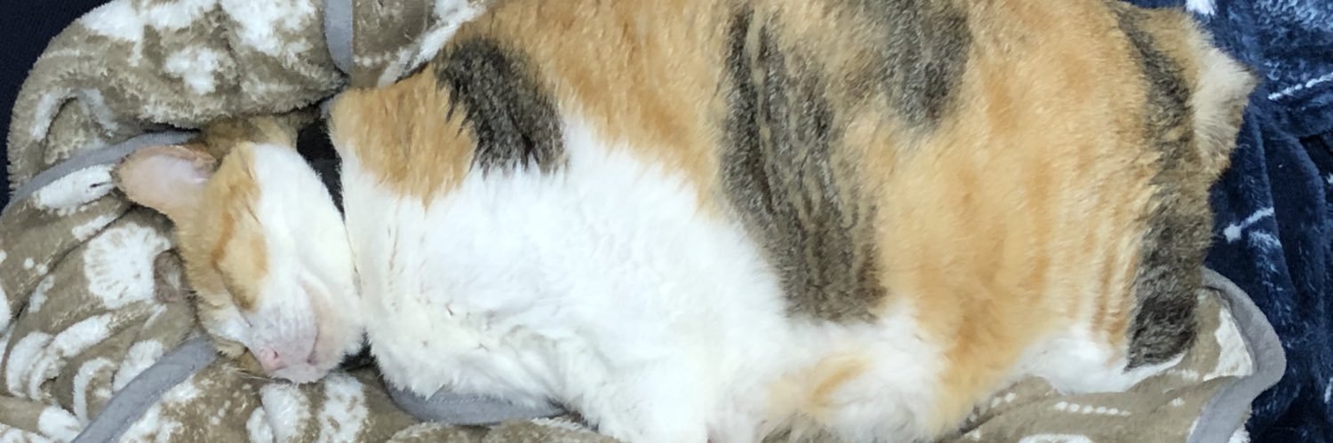 zero_crash1's profile banner image