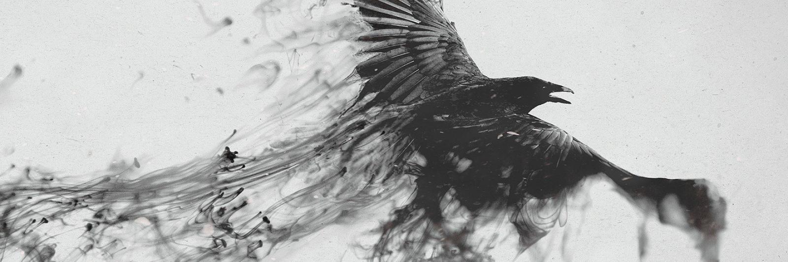 mahfmf's profile banner image
