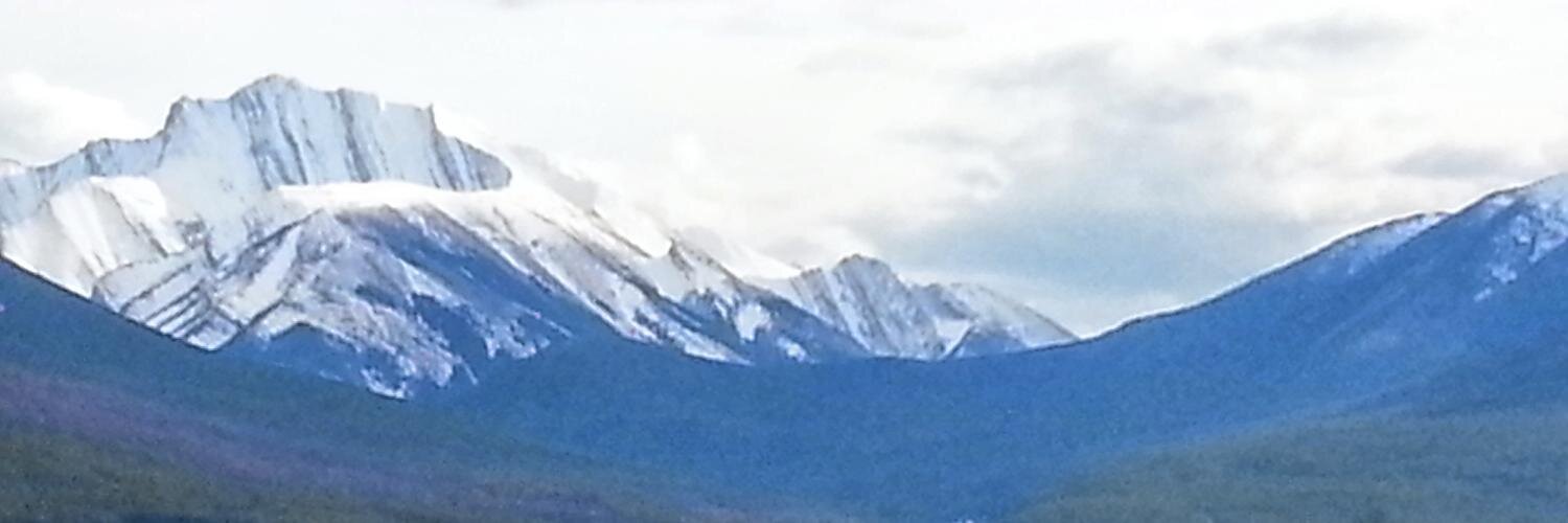 dchipp's profile banner image