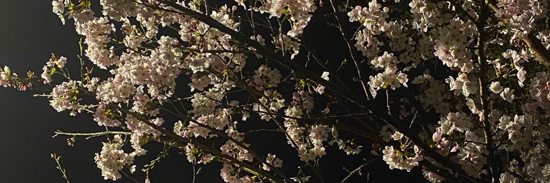 c__gy05's profile banner image