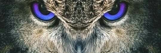 Carysul's profile banner image