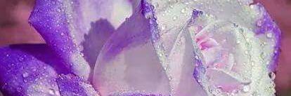 Shaz_61's profile banner image