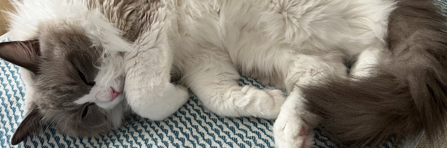 MiZ@Gz'z（5/10 川崎セルビアンナイト） banner