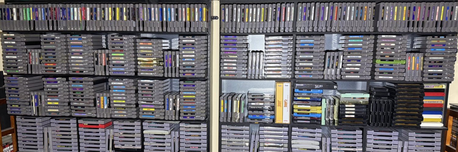 NES Professor banner