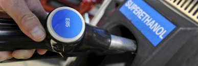 Synd. Betteravier 02 banner