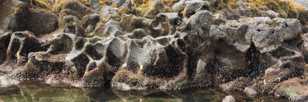 Rustam Hasanov banner