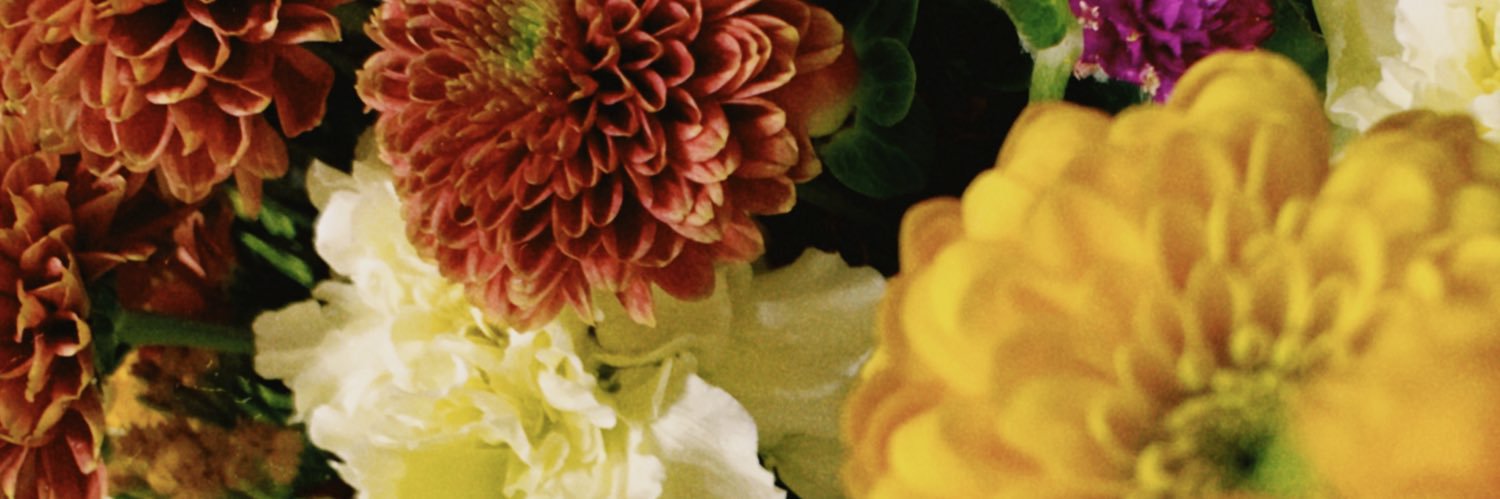 impedance___'s profile banner image