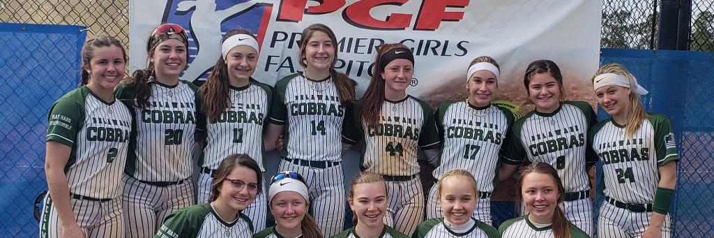 Delaware Cobras Fury banner