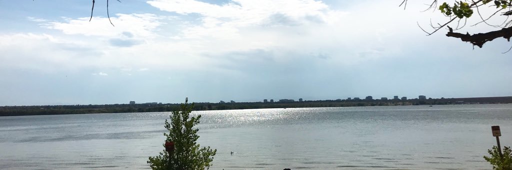 Amy O’Donnell banner