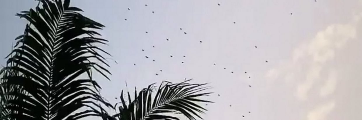 amaliagc16's profile banner image