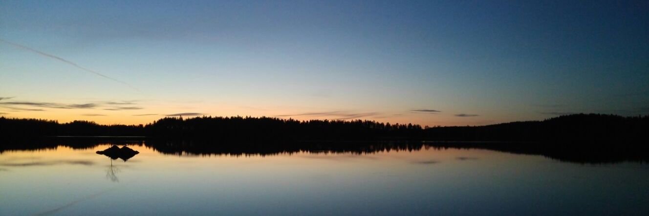 Linneaari's profile banner image