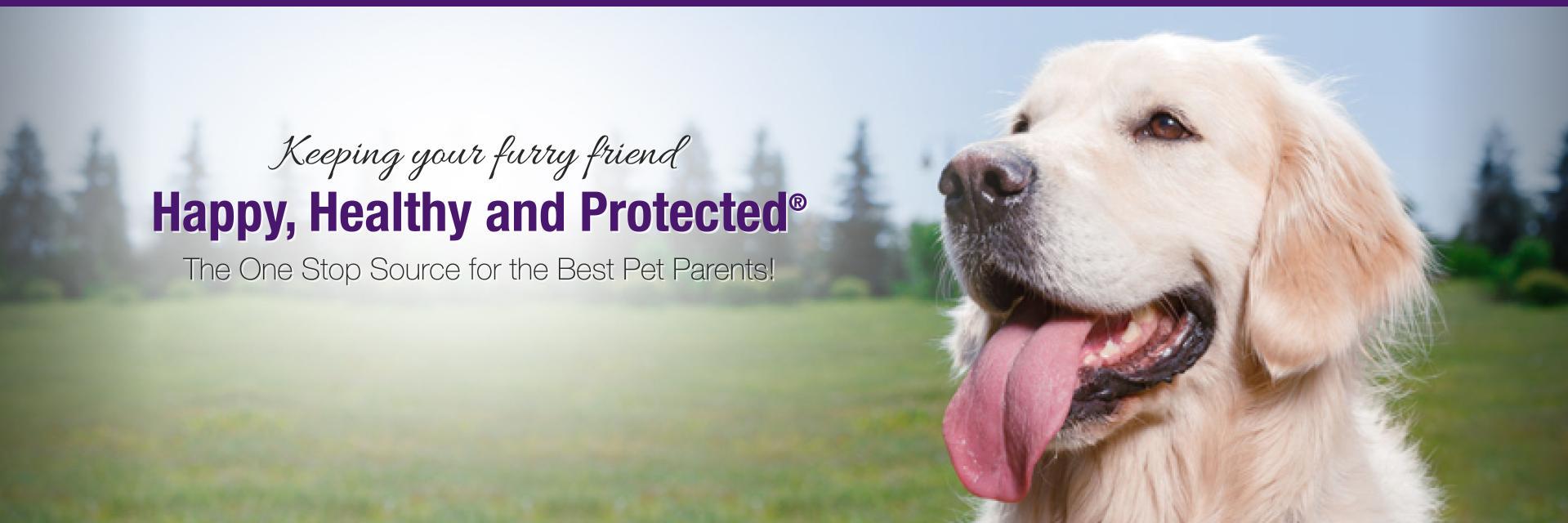 petpremium's profile banner image
