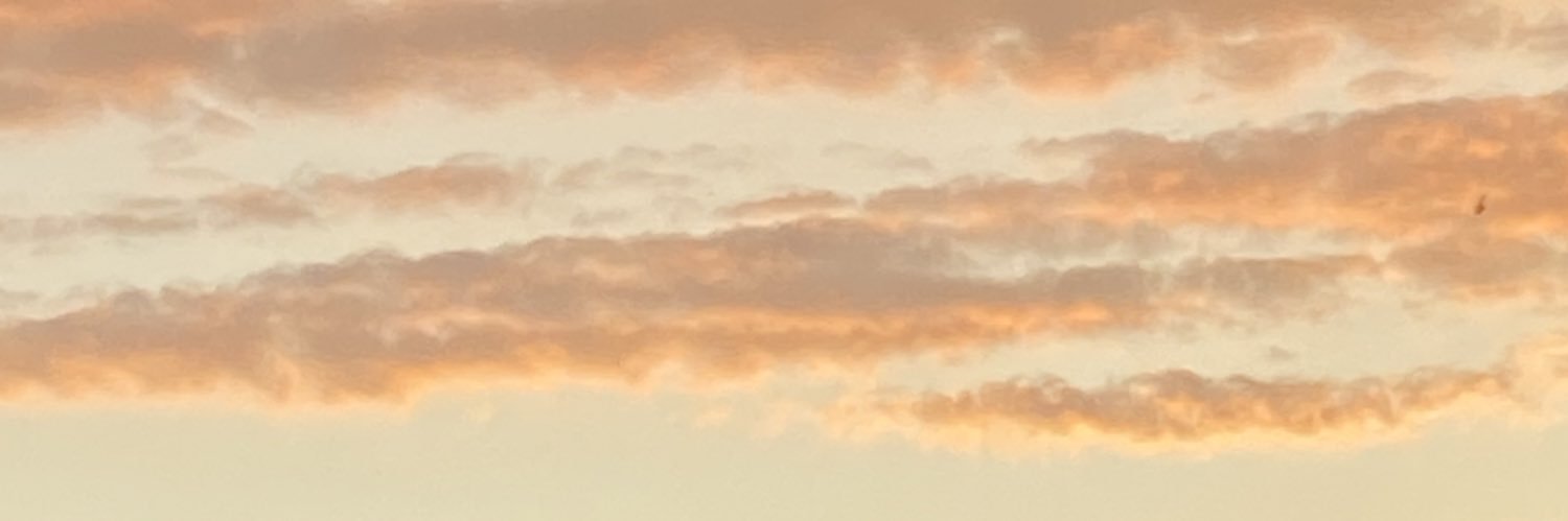 carylmilena's profile banner image
