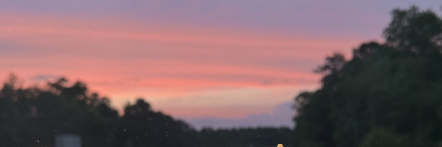 tammyloza's profile banner image