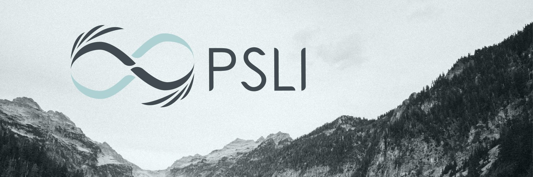 PSLIInc's profile banner image