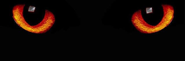 Alanegr12's profile banner image