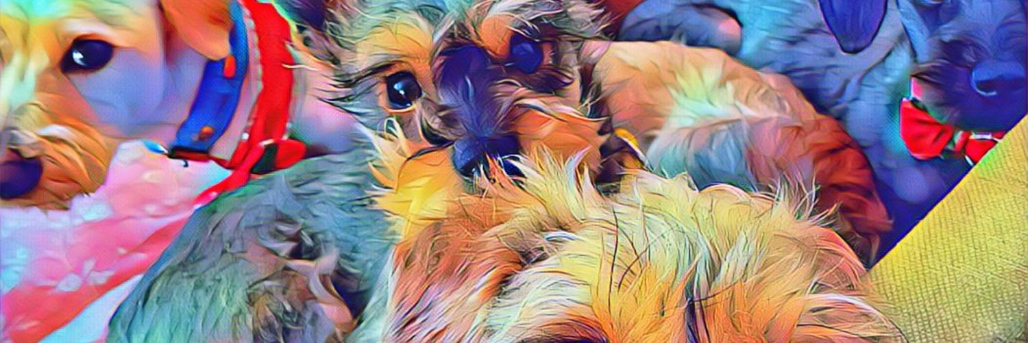 Dyeguxho's profile banner image