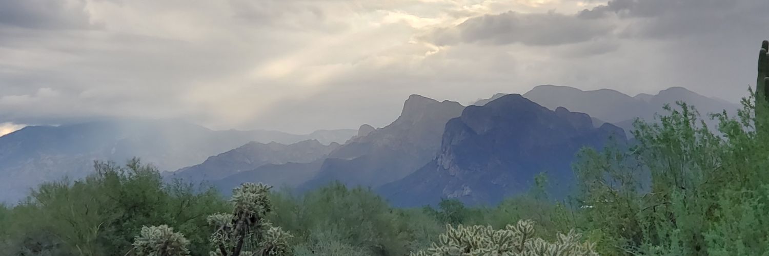 Erfdort's profile banner image