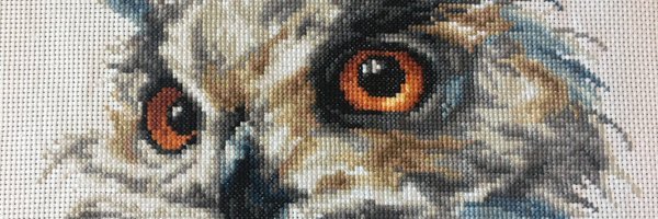 AnatomyCurls Profile Banner