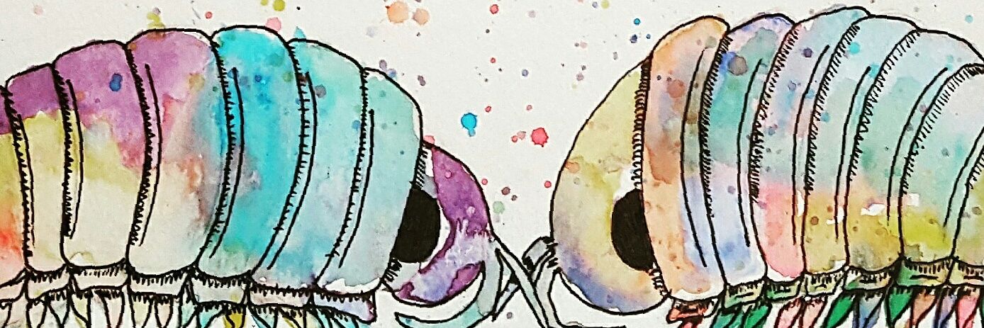 SpiderScribble's profile banner image