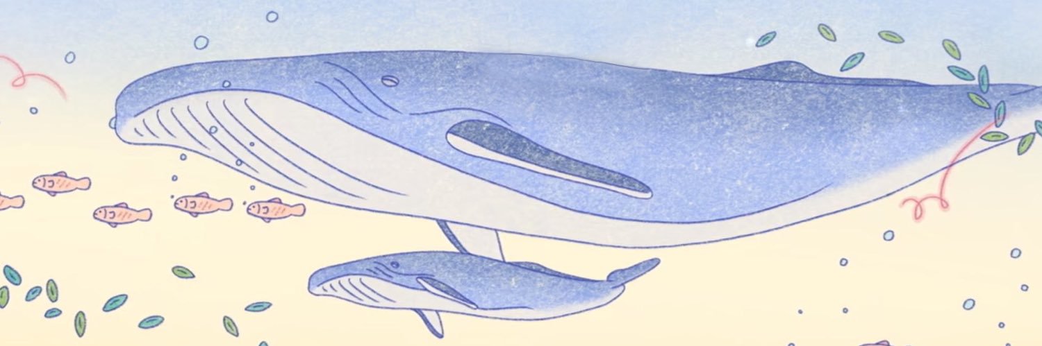 ĸнαиs..ᴰ·ᴼ 🐋 banner